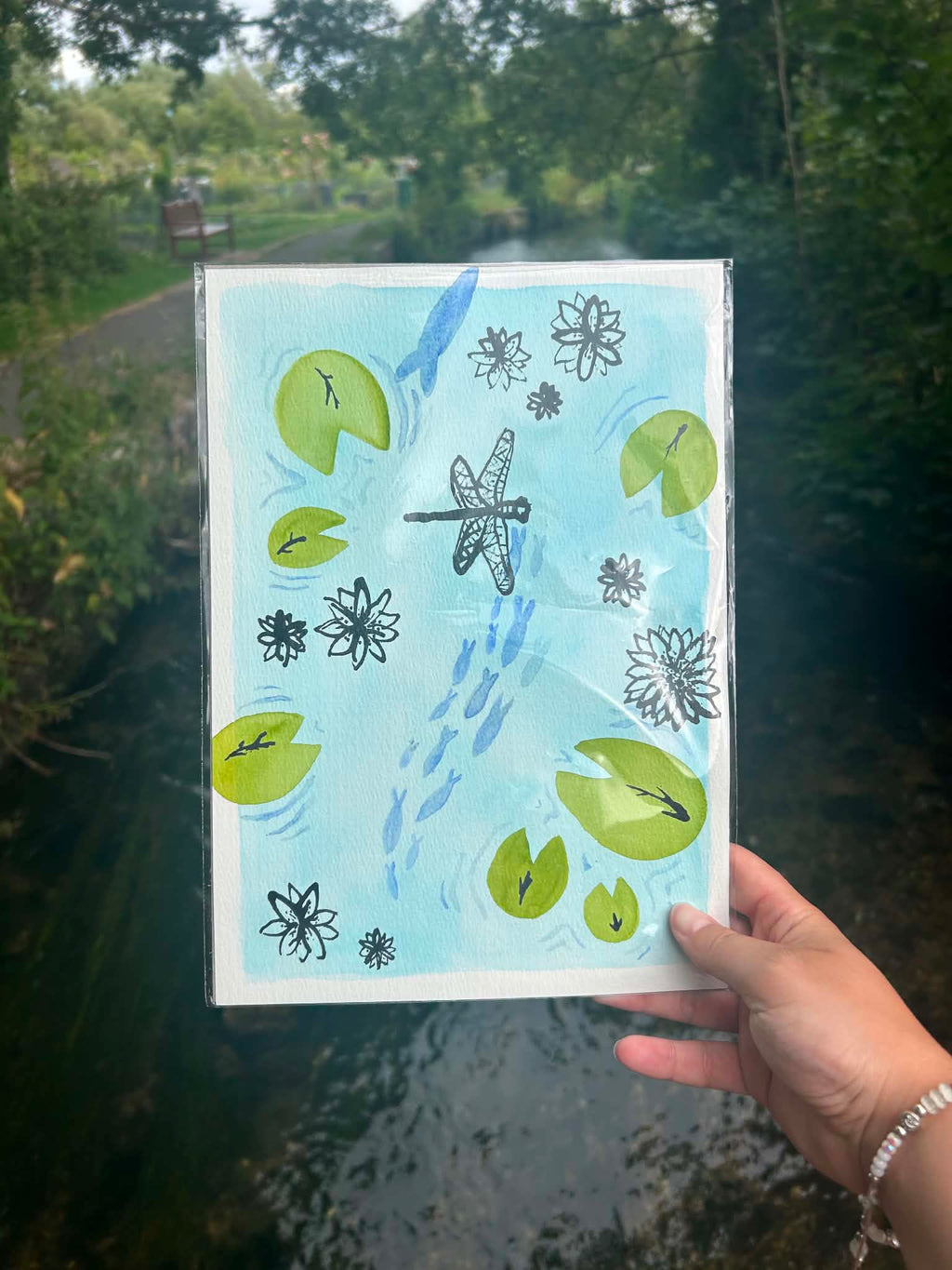 Dragonfly journey