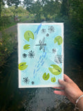 Dragonfly journey