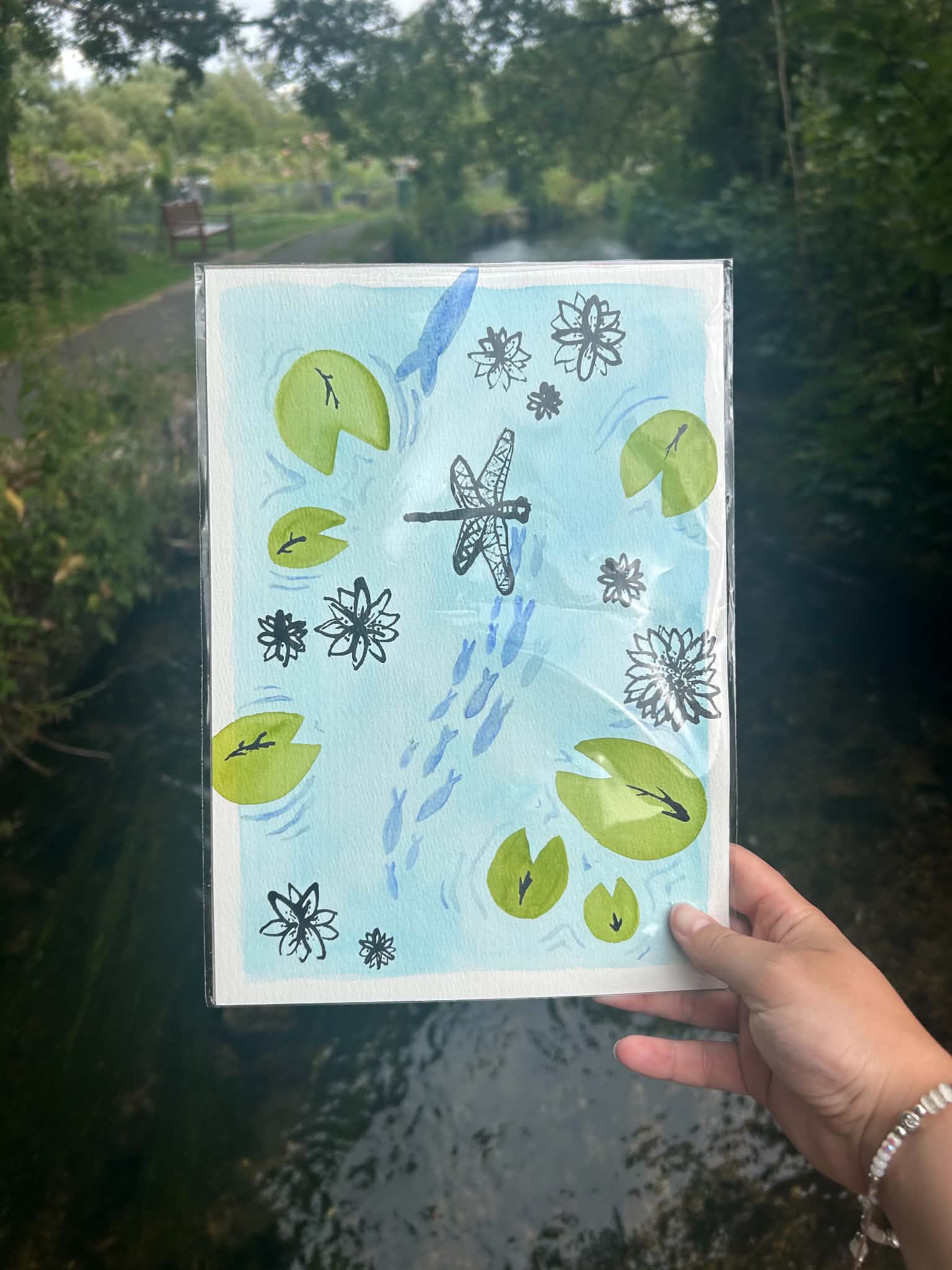 Dragonfly journey