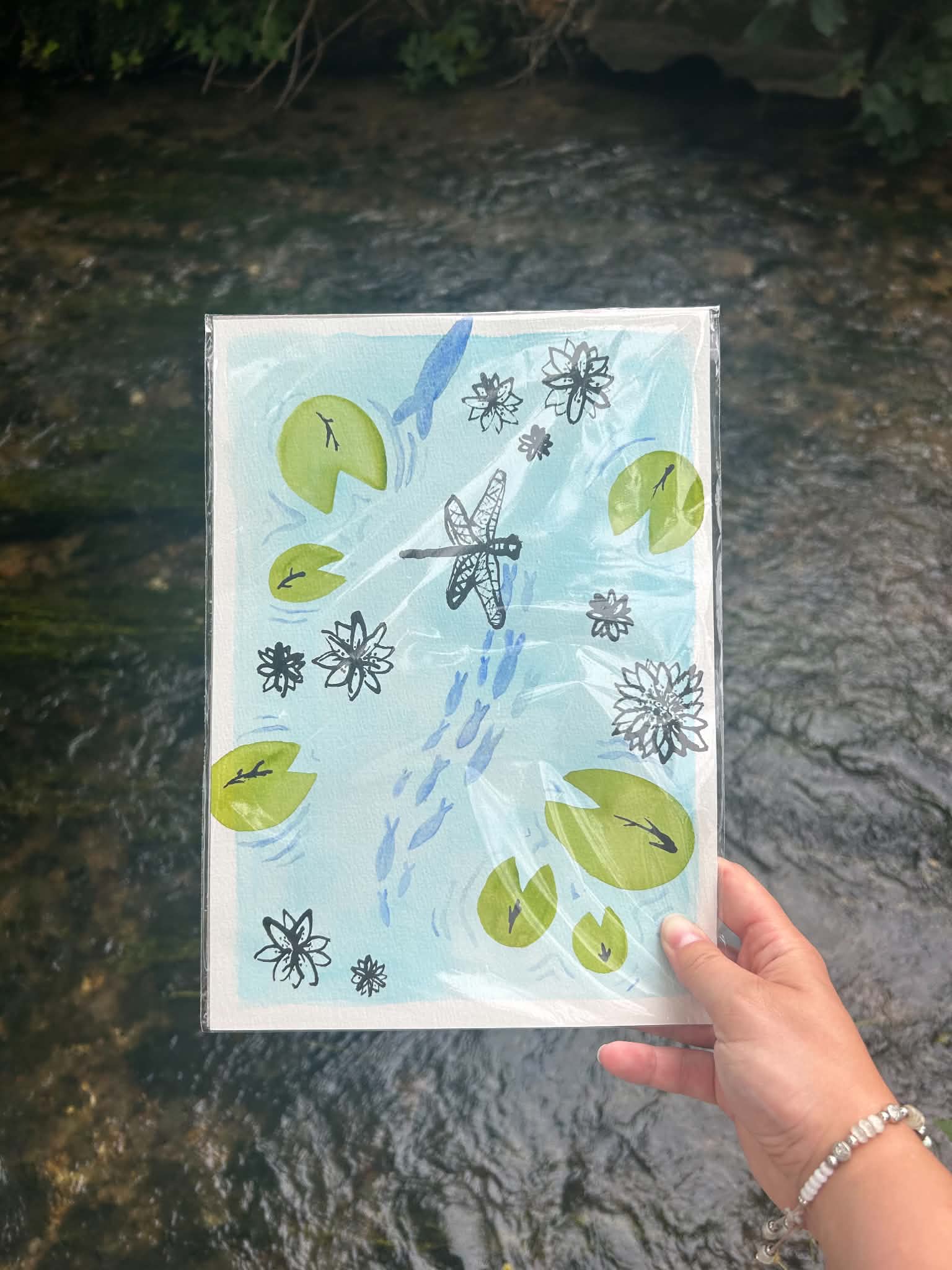 Dragonfly journey